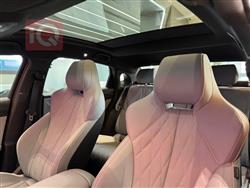 بي واي دي سيل EV